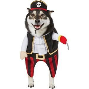 Frisco Front Walking Pirate Dog & Cat Costume, Large