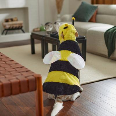 Show full view: Frisco Bumble Bee Dog & Cat Costume, X-Small slide 8 of 9