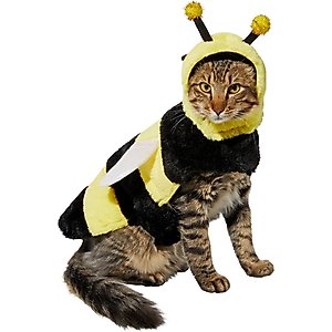 Frisco Bumble Bee Dog & Cat Costume, Small