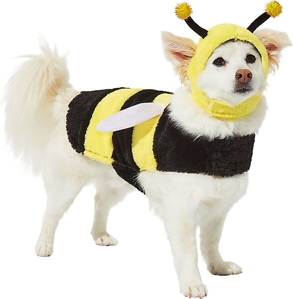 Frisco Bumble Bee Dog & Cat Costume, Medium slide 1 of 7