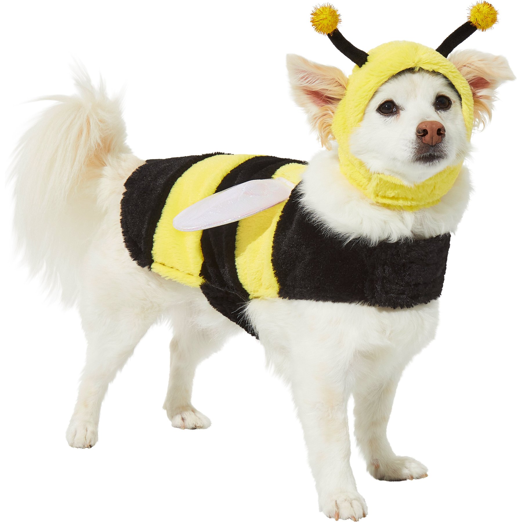 FRISCO Bumble Bee Dog & Cat Costume, Medium - Chewy.com