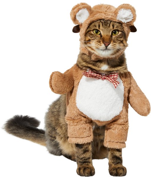 Frisco Front Walking Teddy Bear Dog & Cat Costume, Small slide 1 of 9