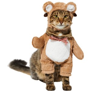 Frisco Front Walking Teddy Bear Dog & Cat Costume, Small
