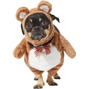 Frisco Front Walking Teddy Bear Dog & Cat Costume, Medium