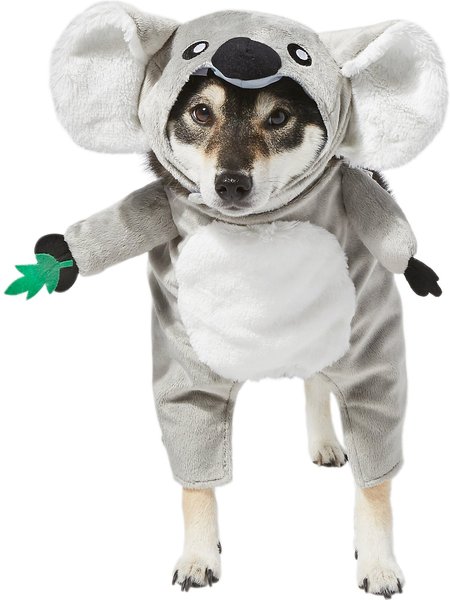 FRISCO Front Walking Koala Dog & Cat Costume, Large - Chewy.com