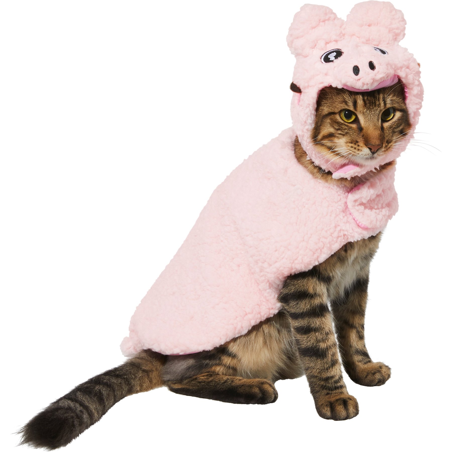 Cat in pig costume best sale