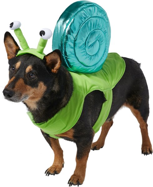 Frisco Snail Dog & Cat Costume, Medium slide 1 of 6
