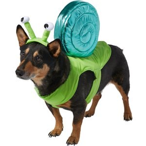 Frisco Snail Dog & Cat Costume, Medium