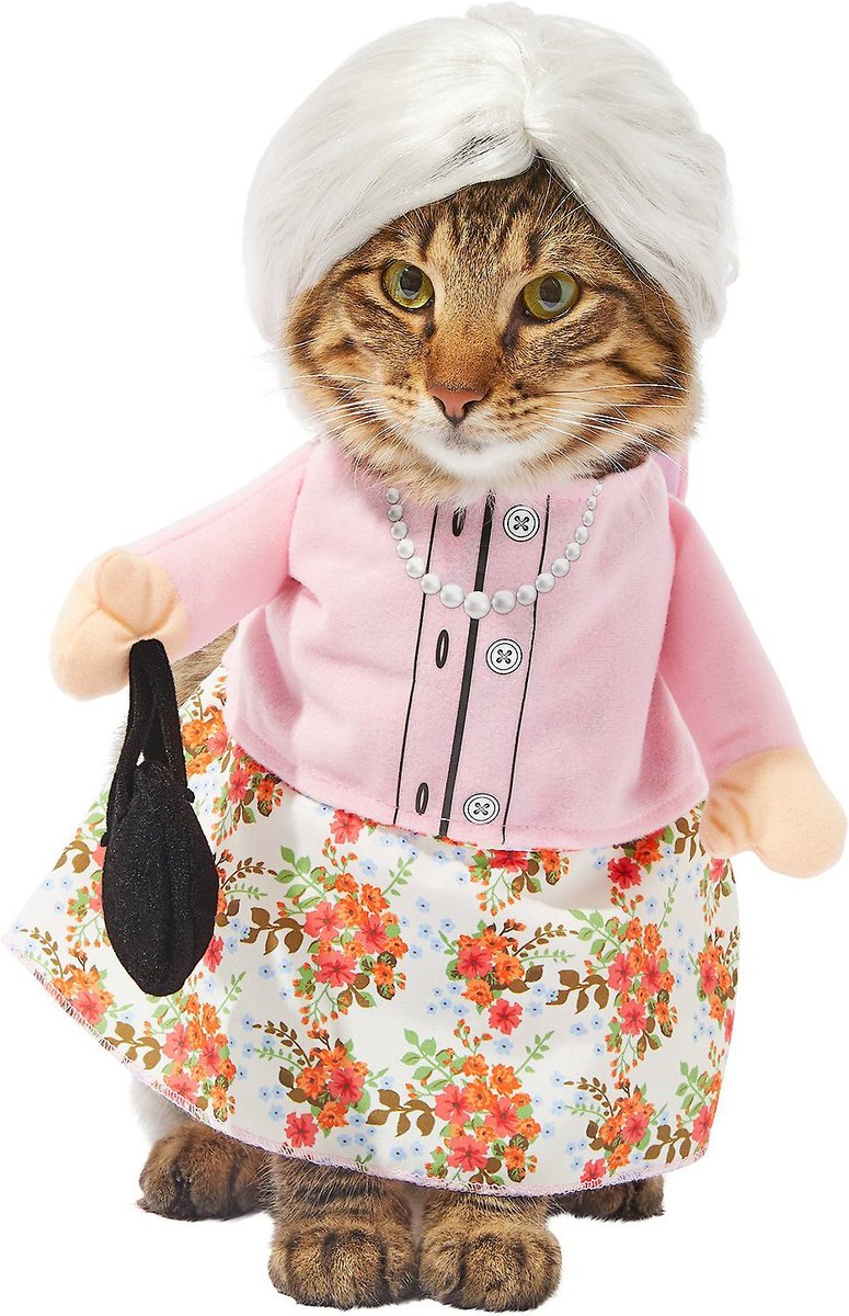 Frisco Front Walking Granny Dog & Cat Costume on Chewy.com
