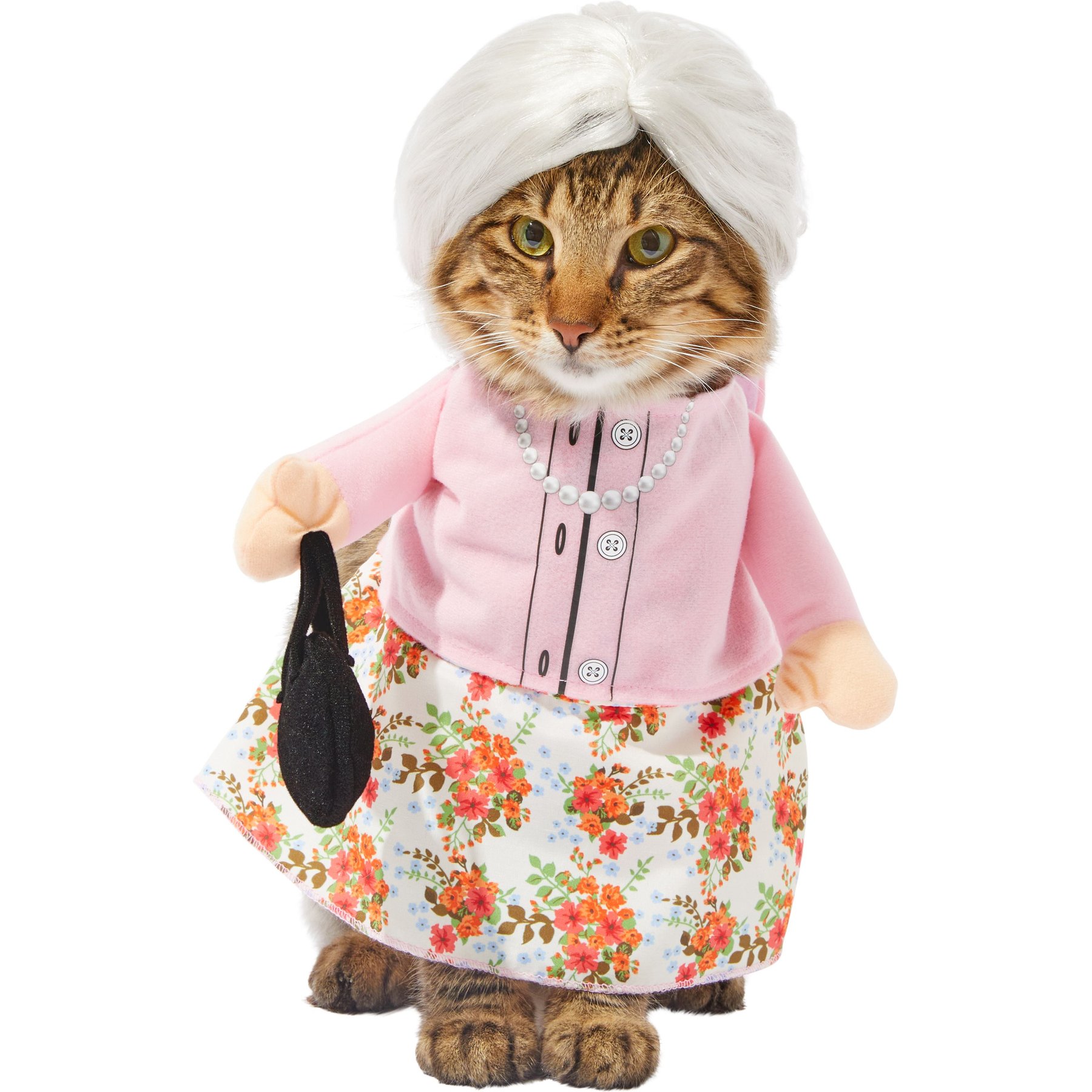 FRISCO Front Walking Granny Dog & Cat Costume, Small - Chewy.com