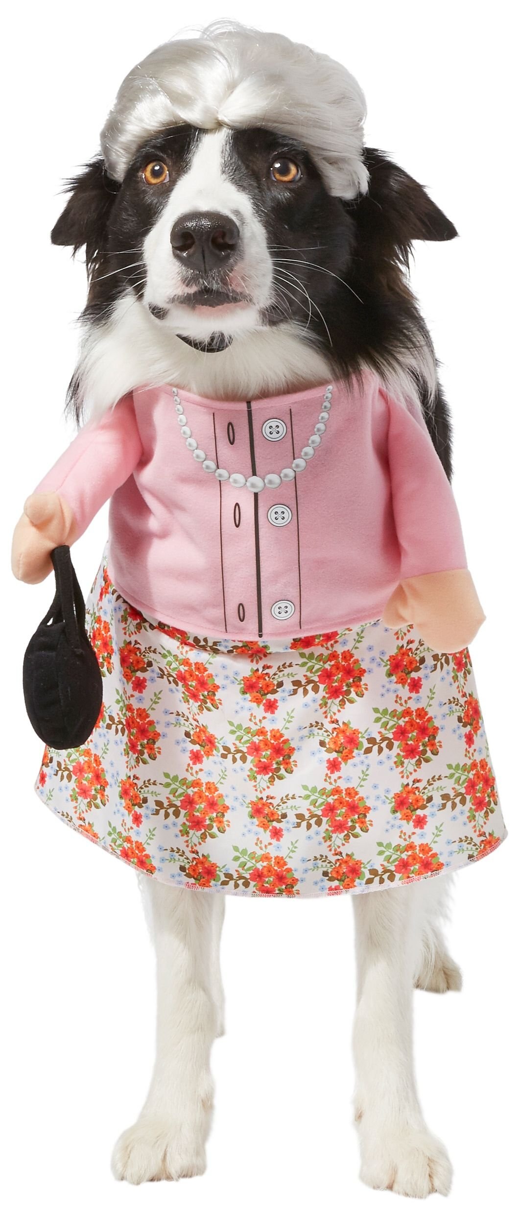 Frisco Front Walking Granny Dog & Cat Costume