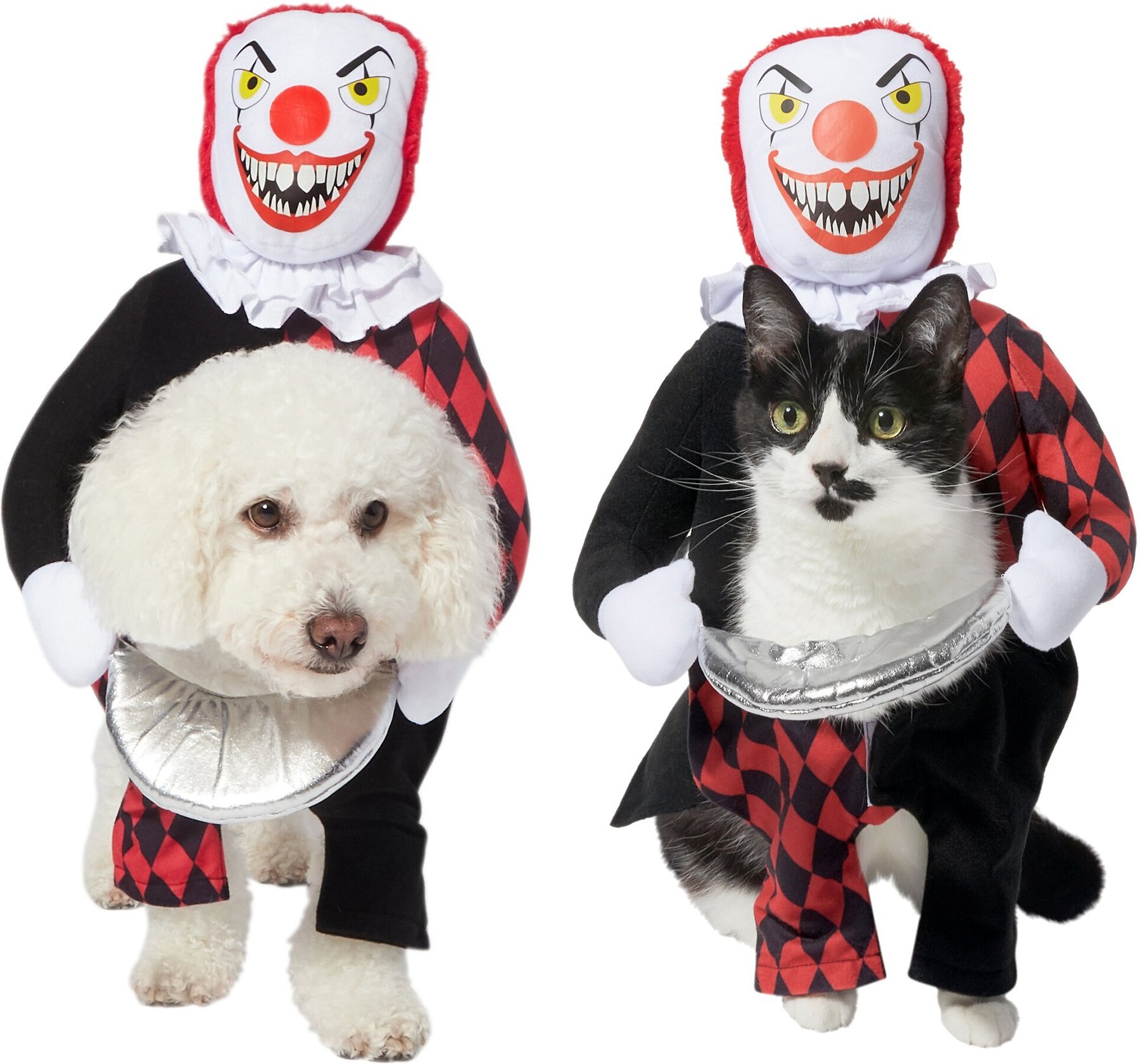 clown platter dog costume