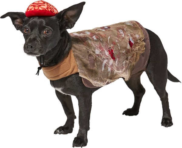 Frisco Zombie Dog & Cat Costume, X-Large slide 1 of 6