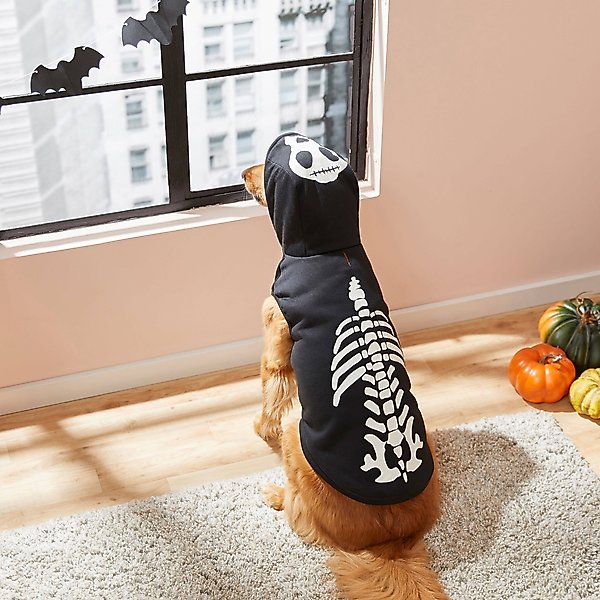 Show full view: Frisco Glow in the Dark Skeleton Dog & Cat Hoodie Costume, X-Small slide 8 of 10
