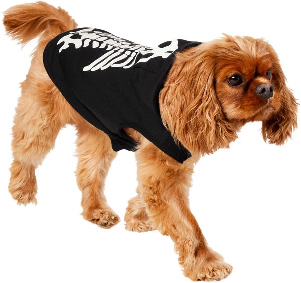 Chewy dog fashion hoodie