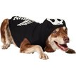 FRISCO Glow in the Dark Skeleton Dog & Cat Hoodie, X-Large - Chewy.com