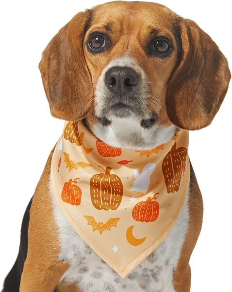 Frisco Whimsical Halloween Dog & Cat Bandana