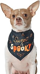 Frisco Sweet & Spooky Dog & Cat Bandana, X-Small/Small