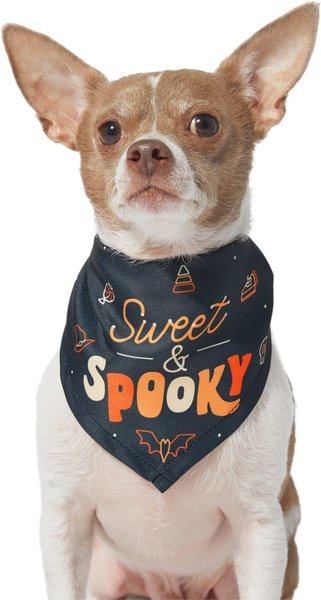 Frisco Sweet & Spooky Dog & Cat Bandana, X-Small/Small slide 1 of 6