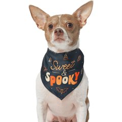 Frisco Sweet & Spooky Dog & Cat Bandana, X-Small/Small