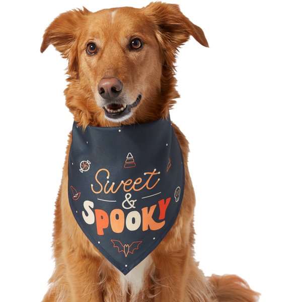 Pup Crew Small & Medium Breeds Ghost Dog & Cat Bandana, Medium/Large