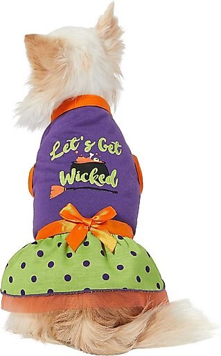 Frisco Let's Get Wicked Dog & Cat Dress, X-Small