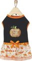 Frisco Pumpkin Patch Cutie Dog & Cat Dress, X-Small