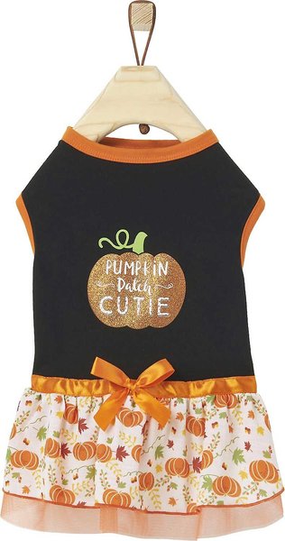 Frisco Pumpkin Patch Cutie Dog & Cat Dress, Small slide 1 of 7
