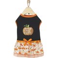 Frisco Pumpkin Patch Cutie Dog & Cat Dress, Small