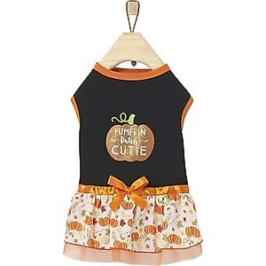 Frisco Pumpkin Patch Cutie Dog & Cat Dress, Large
