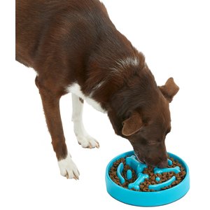 Frisco Bone Shaped Ridges Slow Feed Bowl, Blue, Medium: 3 cup