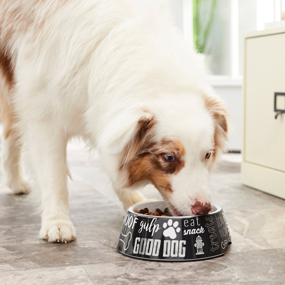 At what age do you stop feeding puppy outlet food