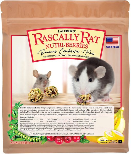 Lafeber Rascally Rat Nutri-Berries Rat Food, 2.75-lb bag slide 1 of 4