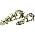 Komodo Raptor Skull, Large