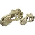 Komodo T-Rex Skull, Large