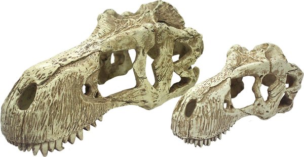 Komodo T-Rex Skull, X-Large slide 1 of 4