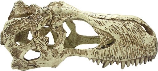Komodo T-Rex Skull, X-Large
