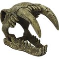 Komodo Large Saber Tooth Skull, Medium
