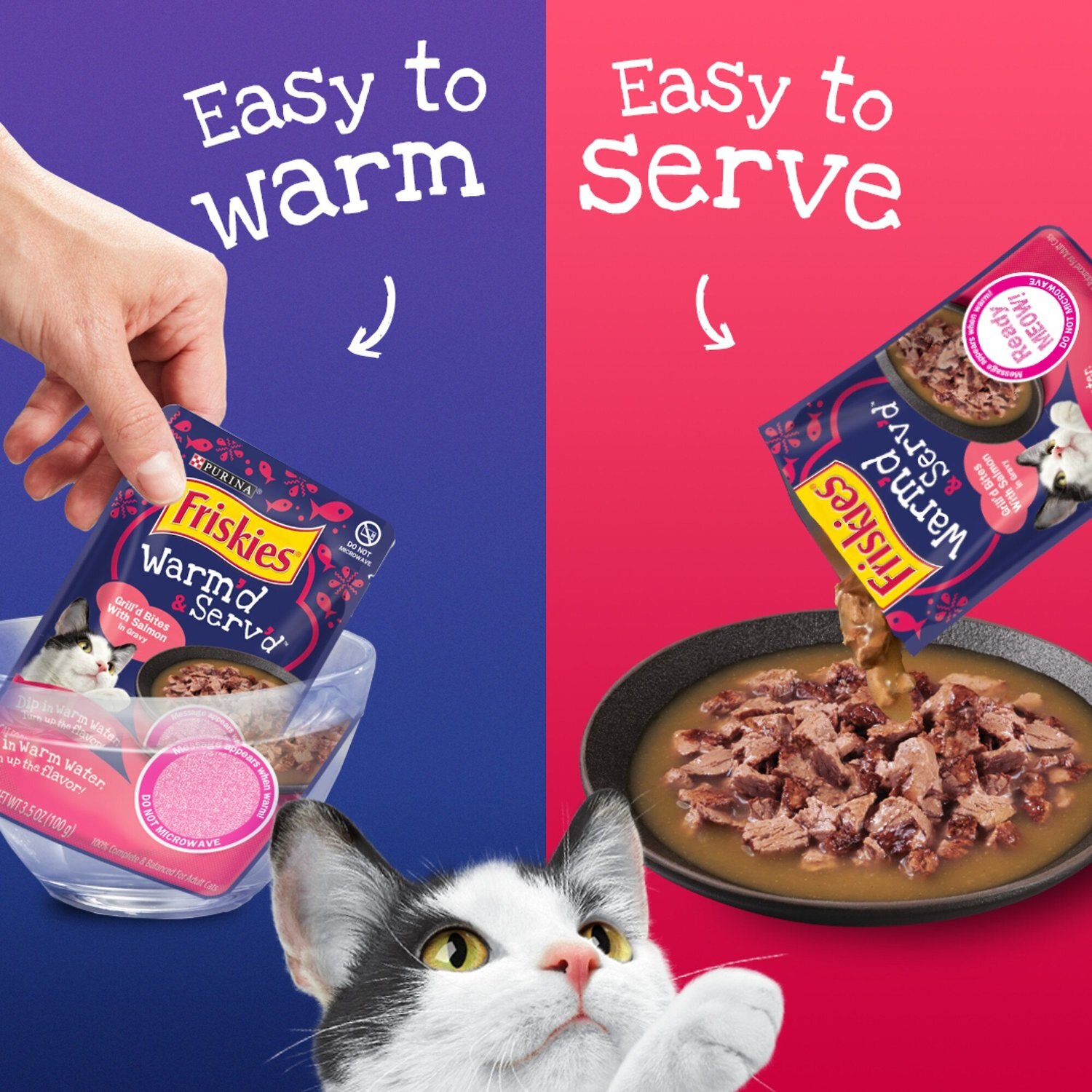 friskies warmed and served