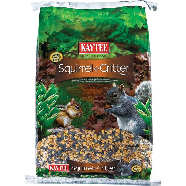 EXOTIC NUTRITION Complete Squirrel Food, 1.75lb bag