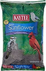 Kaytee Black Oil Sunflower Wild Bird Food, 10-lb bag