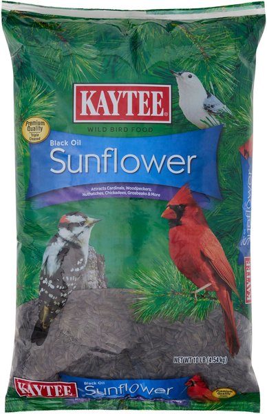KAYTEE Black Oil Sunflower Wild Bird Food, 10-lb bag 