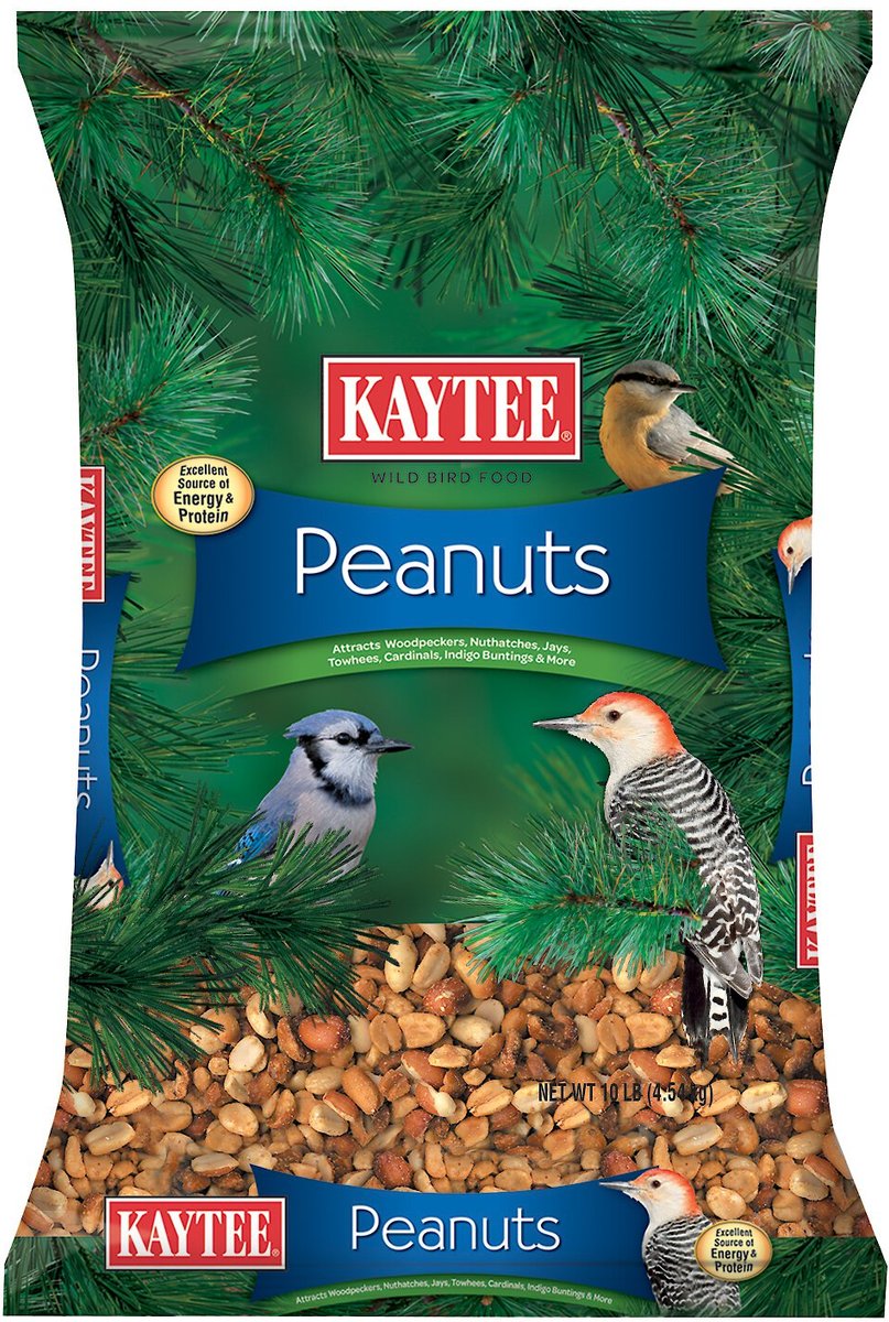 KAYTEE Shelled Peanuts Wild Bird Food, 10-lb bag 