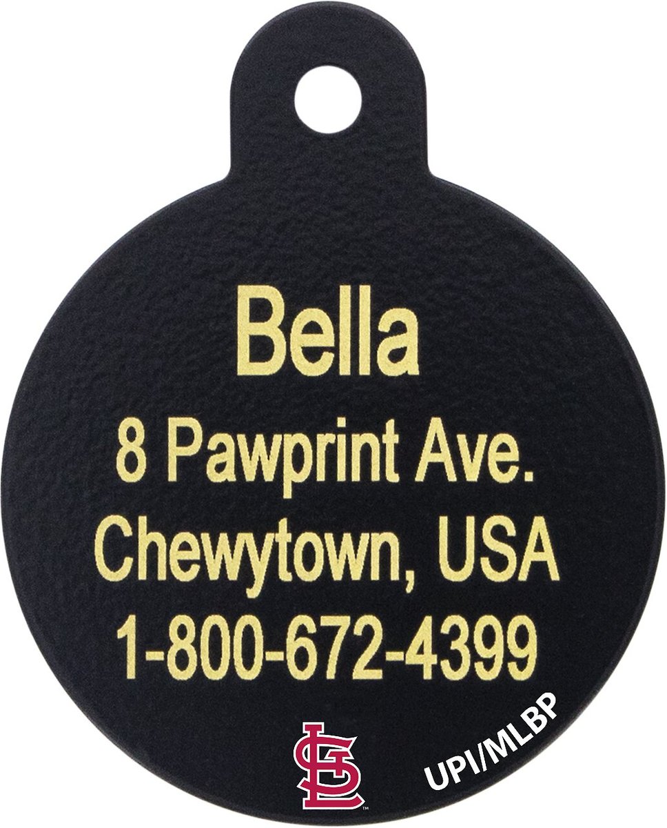 Atlanta Braves Pet ID Tag for Dogs and Cats – Quick-Tag