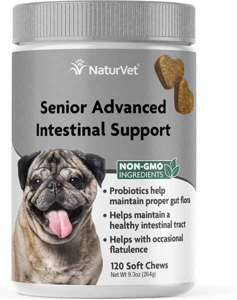 NaturVet Senior Advanced Intestinal Support With Non-GMO Ingredients Dog Supplement, 120 count slide 1 of 5