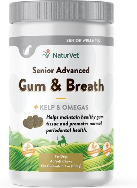 NaturVet Senior Advanced Gum & Breath With Non-GMO Ingredients Dog Supplement, 45 count slide 1 of 1