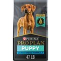 Purina Pro Plan High Protein Chicken & Rice Formula Large Breed Dry Puppy Food, 47-lb bag