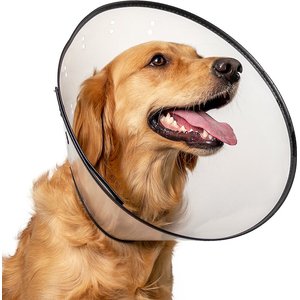 Calm Paws Basic E-Collar Dog Collar, Medium