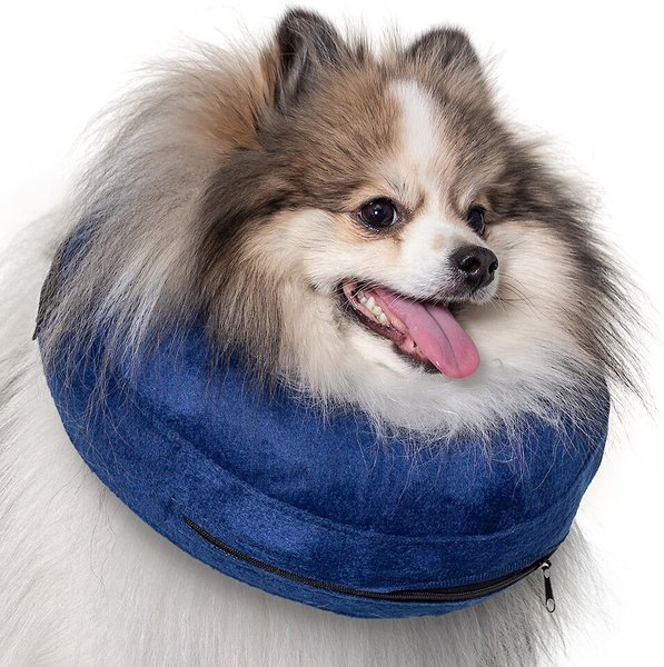 Calm Paws Basic Inflatable Dog Collar, Small slide 1 of 6