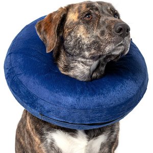 Calm Paws Basic Inflatable Dog Collar, Large